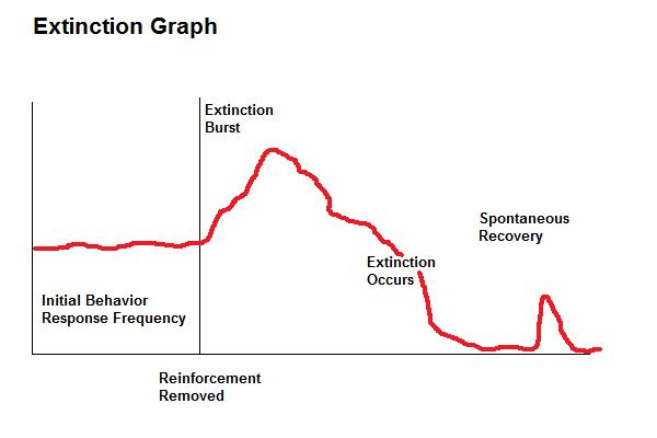 How To Implement Extinction Procedures